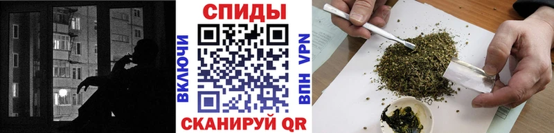 Купить где  Черепаново  БУТИРАТ буратино 