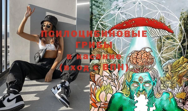 стафф Тихорецк