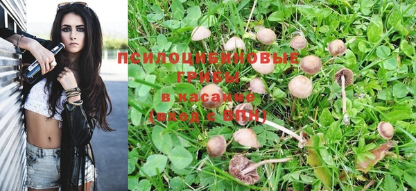 марихуана Тихвин