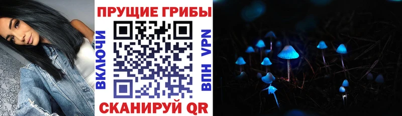 Псилоцибиновые грибы Cubensis  Купить закладки  Черепаново 